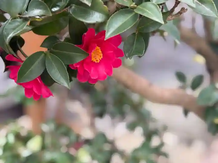 西方山極楽寺(岐阜県)