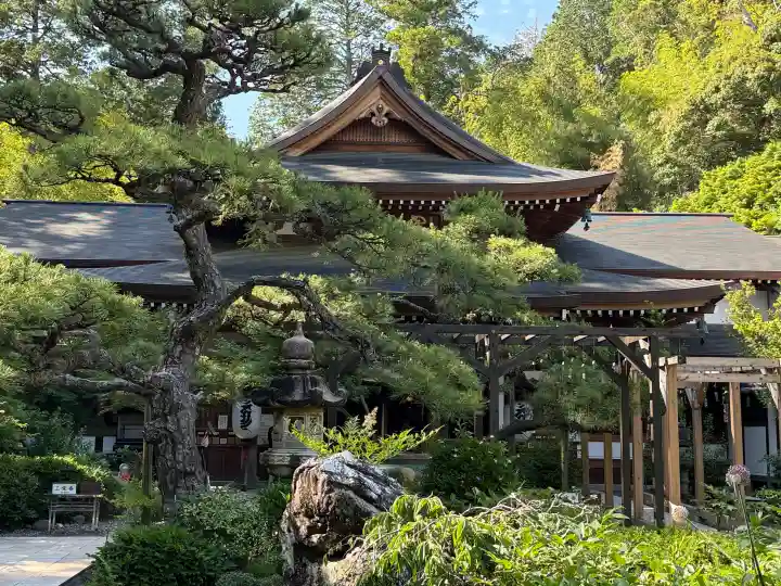 目の霊山 油山寺の{uncategorized: "未分類", other: "その他", undefined: "問題あり", building: "その他建物", grave: "お墓", sacred_gate: "鳥居", guardian: "狛犬", statue: "像", buddha: "仏像", history: "歴史", nature: "自然", garden: "庭園", animal: "動物", pagoda: "塔", temizu: "手水舎", mountain_gate: "山門・神門", sanctuary: "本殿・本堂", subordinate: "末社・摂社", art: "芸術", scenery: "景色", jizo: "地蔵", ema: "絵馬", goshuin: "御朱印", omikuji: "おみくじ", items: "授与品その他", amulet: "お守り", goshuincho: "御朱印帳", eats: "食事", festival: "お祭り", votive_dance: "神楽", shichigosan: "七五三参", wedding: "結婚式", experience: "体験その他", initially: "初詣", around: "周辺", anti_infection: "感染症対策"}