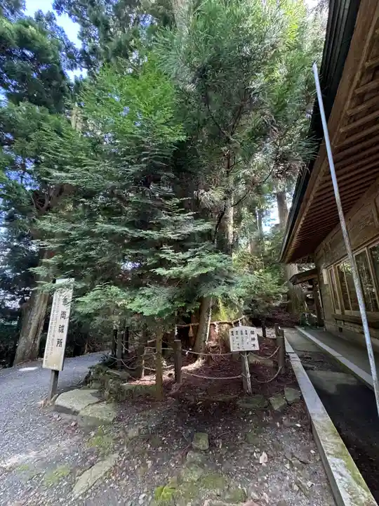 砥鹿神社(奥宮)(愛知県)
