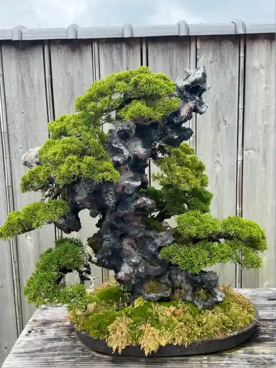 芳春院(京都府)