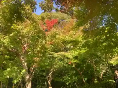 円覚寺(神奈川県)