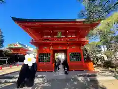 穴八幡宮(東京都)