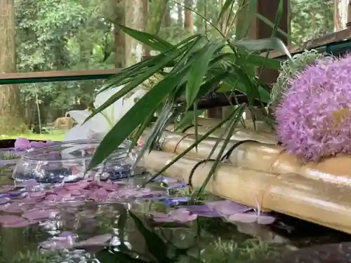 都農神社の手水