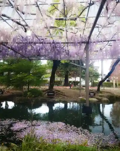 秋葉神社(愛知県)