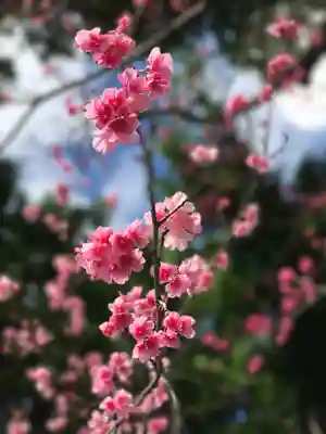 今帰仁里主所火の神(沖縄県)