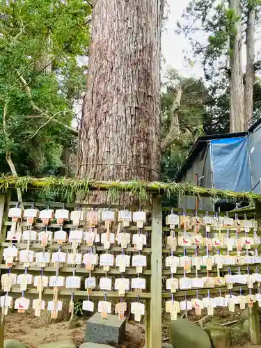 鹿島神宮(茨城県)