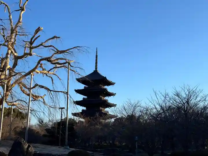 東寺(教王護国寺)(京都府)