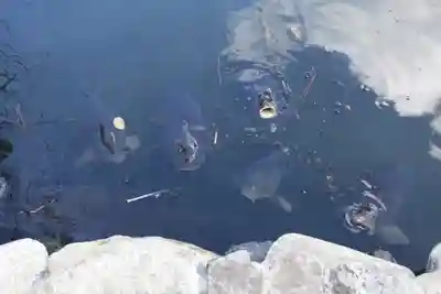 洗足池弁財天(東京都)