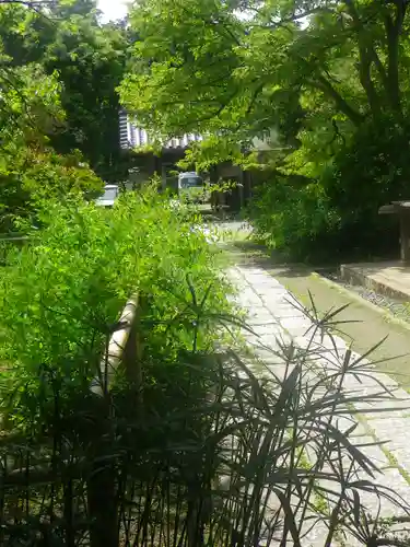 浄光明寺の自然