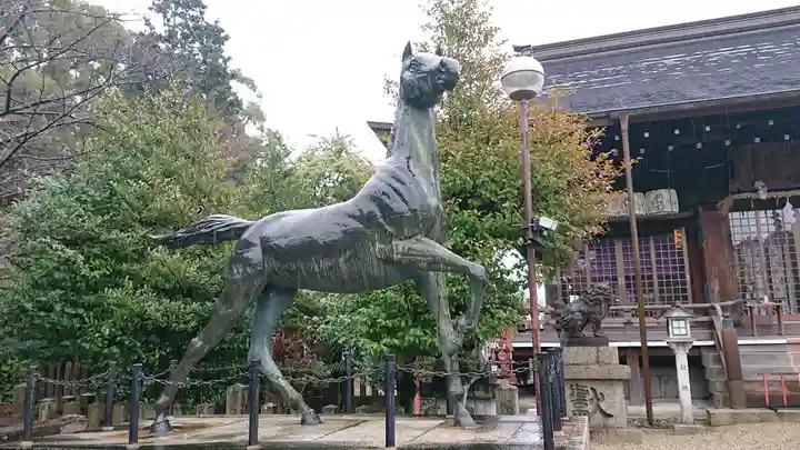 京都乃木神社の狛犬