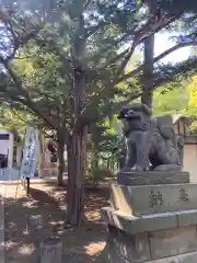 北広島市総鎮守　廣島神社の狛犬