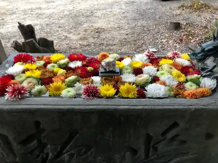 宇佐八幡神社の手水舎