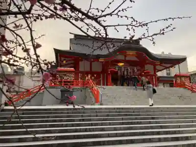 花園神社の本殿・本堂
