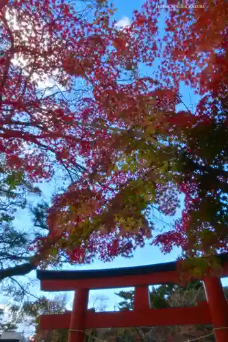 鶴岡八幡宮の自然