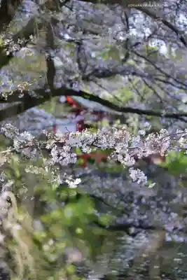 三嶋大社(静岡県)