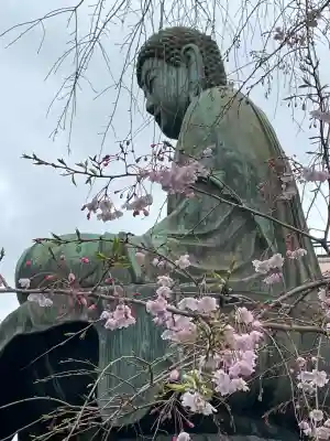 吉祥寺(東京都)