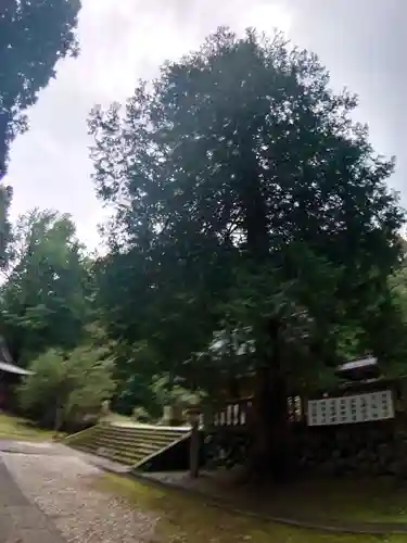 武蔵二宮 金鑚神社の自然