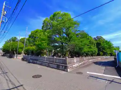籠守勝手神社（木曽川町黒田）の自然