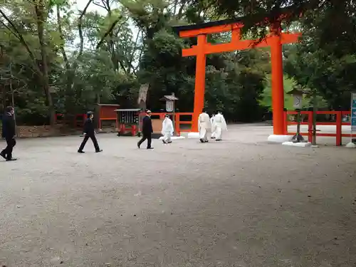 賀茂御祖神社（下鴨神社）の鳥居