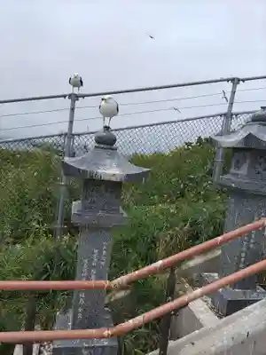 蕪嶋神社のその他建物