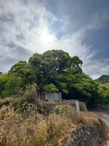 大山祇神社奥の院 生樹の御門(愛媛県)