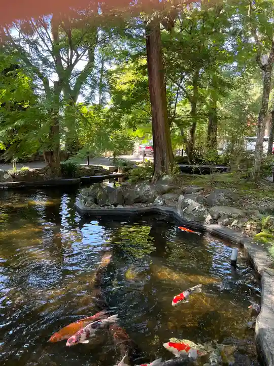 伊豆山神社(静岡県)
