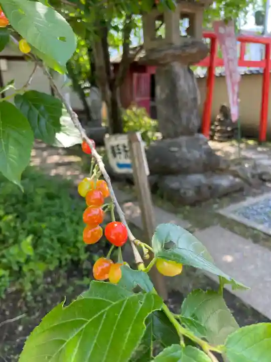 秩父札所十三番 慈眼寺(埼玉県)
