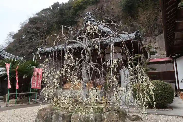 吉祥寺(愛知県)