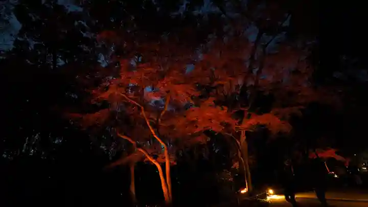 賀茂御祖神社(下鴨神社)(京都府)