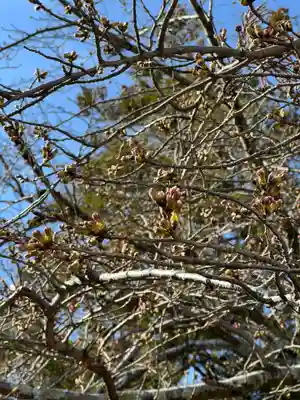 伊勢の国 四天王寺(三重県)