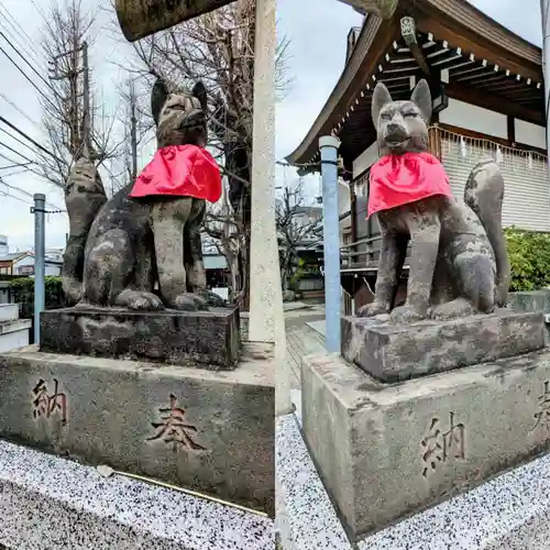 飛木稲荷神社の狛犬