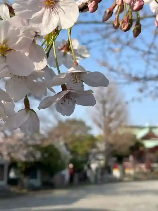 潮田神社の{uncategorized: "未分類", other: "その他", undefined: "問題あり", building: "その他建物", grave: "お墓", sacred_gate: "鳥居", guardian: "狛犬", statue: "像", buddha: "仏像", history: "歴史", nature: "自然", garden: "庭園", animal: "動物", pagoda: "塔", temizu: "手水舎", mountain_gate: "山門・神門", sanctuary: "本殿・本堂", subordinate: "末社・摂社", art: "芸術", scenery: "景色", jizo: "地蔵", ema: "絵馬", goshuin: "御朱印", omikuji: "おみくじ", items: "授与品その他", amulet: "お守り", goshuincho: "御朱印帳", eats: "食事", festival: "お祭り", votive_dance: "神楽", shichigosan: "七五三参", wedding: "結婚式", experience: "体験その他", initially: "初詣", around: "周辺", anti_infection: "感染症対策"}