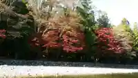 伊勢神宮内宮(皇大神宮)(三重県)