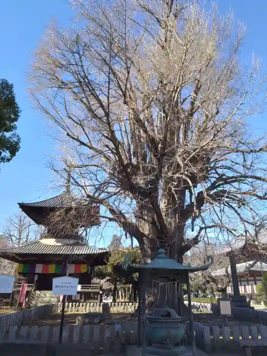 鑁阿寺(栃木県)