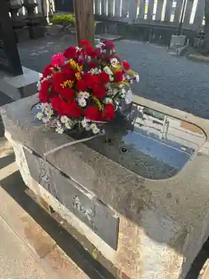 柏神社(千葉県)