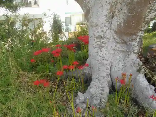 和田塚(神奈川県)