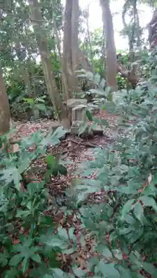 神社(名称不明)の自然