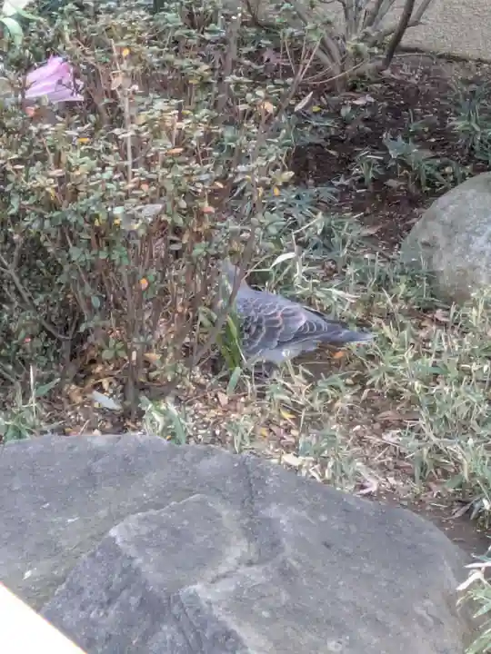 源長寺(東京都)