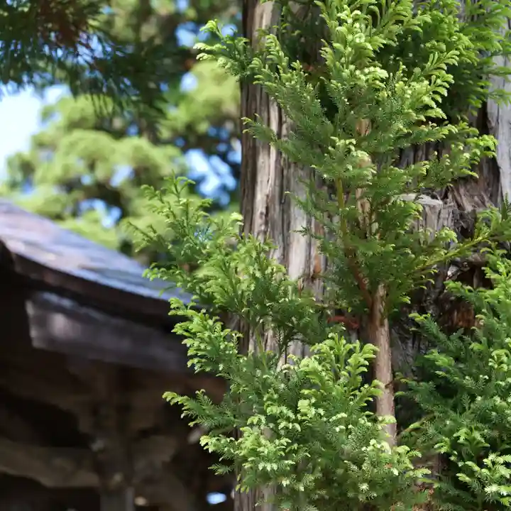 高司神社〜むすびの神の鎮まる社〜(福島県)