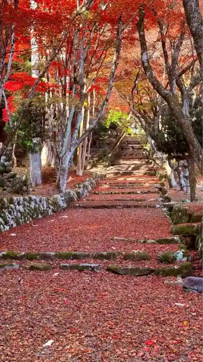 鶏足寺(滋賀県)