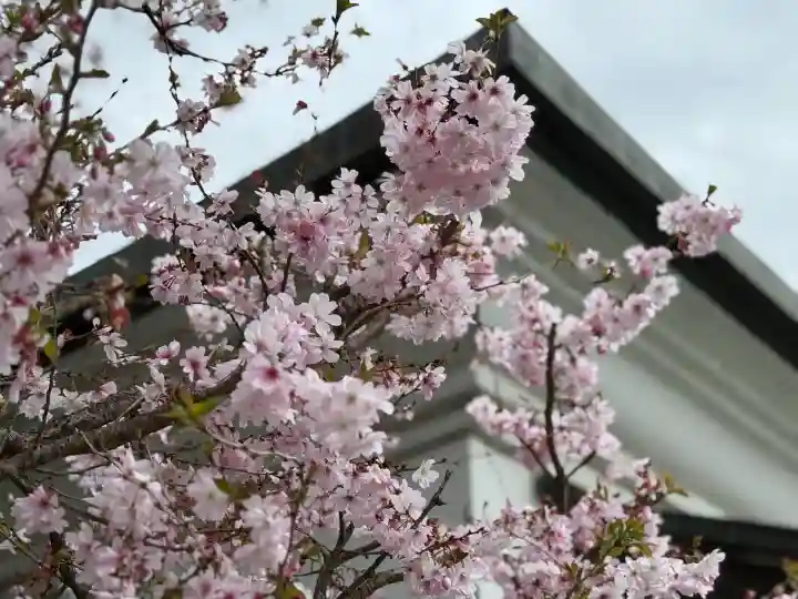 成田山川越別院の{uncategorized: "未分類", other: "その他", undefined: "問題あり", building: "その他建物", grave: "お墓", sacred_gate: "鳥居", guardian: "狛犬", statue: "像", buddha: "仏像", history: "歴史", nature: "自然", garden: "庭園", animal: "動物", pagoda: "塔", temizu: "手水舎", mountain_gate: "山門・神門", sanctuary: "本殿・本堂", subordinate: "末社・摂社", art: "芸術", scenery: "景色", jizo: "地蔵", ema: "絵馬", goshuin: "御朱印", omikuji: "おみくじ", items: "授与品その他", amulet: "お守り", goshuincho: "御朱印帳", eats: "食事", festival: "お祭り", votive_dance: "神楽", shichigosan: "七五三参", wedding: "結婚式", experience: "体験その他", initially: "初詣", around: "周辺", anti_infection: "感染症対策"}