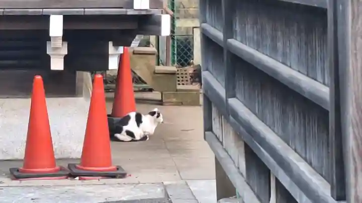 渋谷氷川神社の{uncategorized: "未分類", other: "その他", undefined: "問題あり", building: "その他建物", grave: "お墓", sacred_gate: "鳥居", guardian: "狛犬", statue: "像", buddha: "仏像", history: "歴史", nature: "自然", garden: "庭園", animal: "動物", pagoda: "塔", temizu: "手水舎", mountain_gate: "山門・神門", sanctuary: "本殿・本堂", subordinate: "末社・摂社", art: "芸術", scenery: "景色", jizo: "地蔵", ema: "絵馬", goshuin: "御朱印", omikuji: "おみくじ", items: "授与品その他", amulet: "お守り", goshuincho: "御朱印帳", eats: "食事", festival: "お祭り", votive_dance: "神楽", shichigosan: "七五三参", wedding: "結婚式", experience: "体験その他", initially: "初詣", around: "周辺", anti_infection: "感染症対策"}