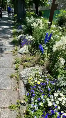 住吉大社(大阪府)