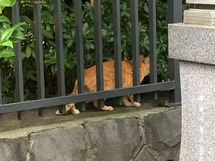 菊名池弁財天(神奈川県)
