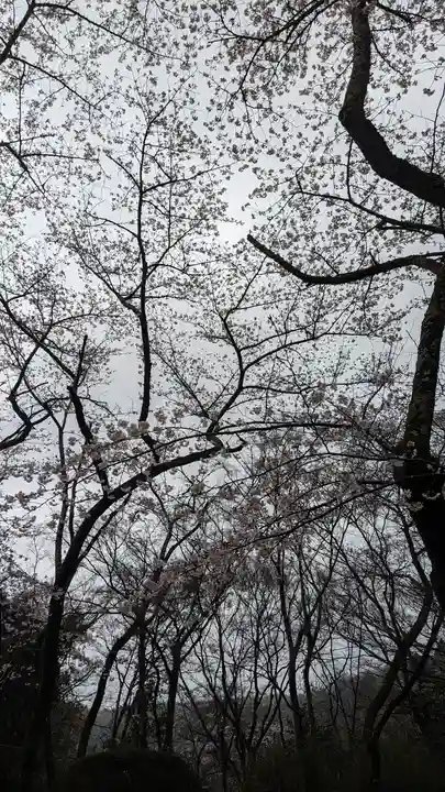 勝持寺(花の寺)(京都府)
