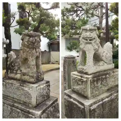 事代主神社の狛犬