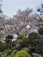 大蔵寺(埼玉県)