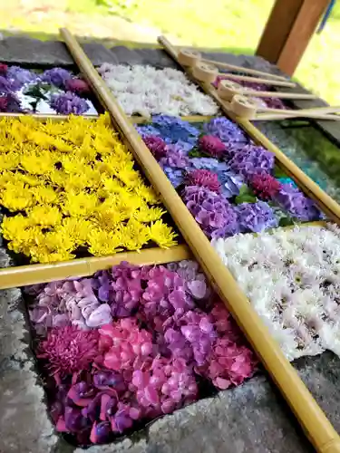 土津神社｜こどもと出世の神さま(福島県)