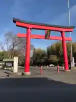 白笹稲荷神社の鳥居