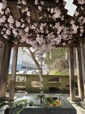 熊野大社の{uncategorized: "未分類", other: "その他", undefined: "問題あり", building: "その他建物", grave: "お墓", sacred_gate: "鳥居", guardian: "狛犬", statue: "像", buddha: "仏像", history: "歴史", nature: "自然", garden: "庭園", animal: "動物", pagoda: "塔", temizu: "手水舎", mountain_gate: "山門・神門", sanctuary: "本殿・本堂", subordinate: "末社・摂社", art: "芸術", scenery: "景色", jizo: "地蔵", ema: "絵馬", goshuin: "御朱印", omikuji: "おみくじ", items: "授与品その他", amulet: "お守り", goshuincho: "御朱印帳", eats: "食事", festival: "お祭り", votive_dance: "神楽", shichigosan: "七五三参", wedding: "結婚式", experience: "体験その他", initially: "初詣", around: "周辺", anti_infection: "感染症対策"}